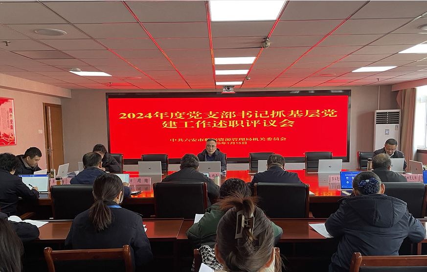 市数管局召开2024年度党支部书记抓基层党建工作述职评议会